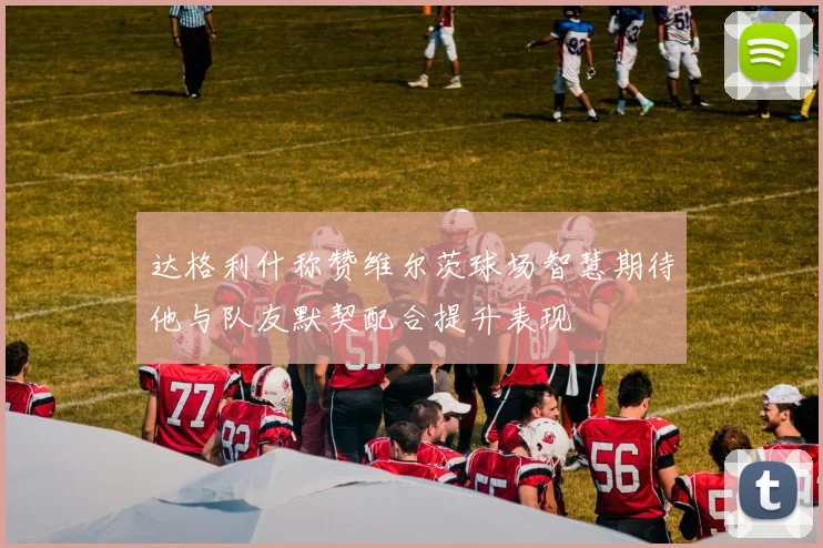 达格利什称赞维尔茨球场智慧期待他与队友默契配合提升表现