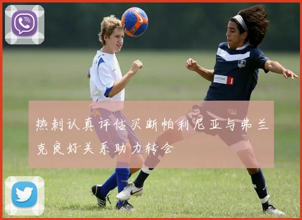 热刺认真评估买断帕利尼亚与弗兰克良好关系助力转会