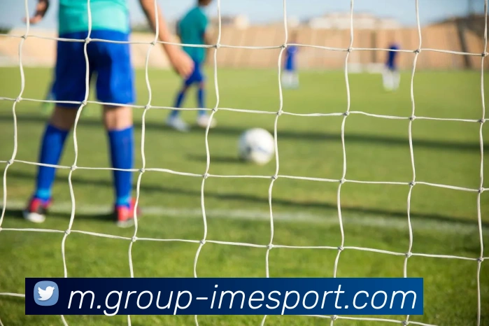 IM电竞平台生态图