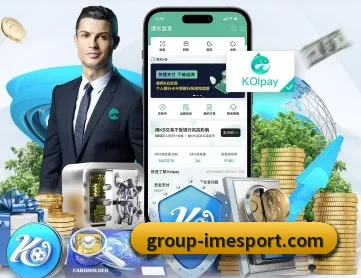 IM电竞 APP